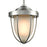 ELK Lighting Sturgis 1-Light Mini Pendant, Nickel/Frosted Blown Glass
