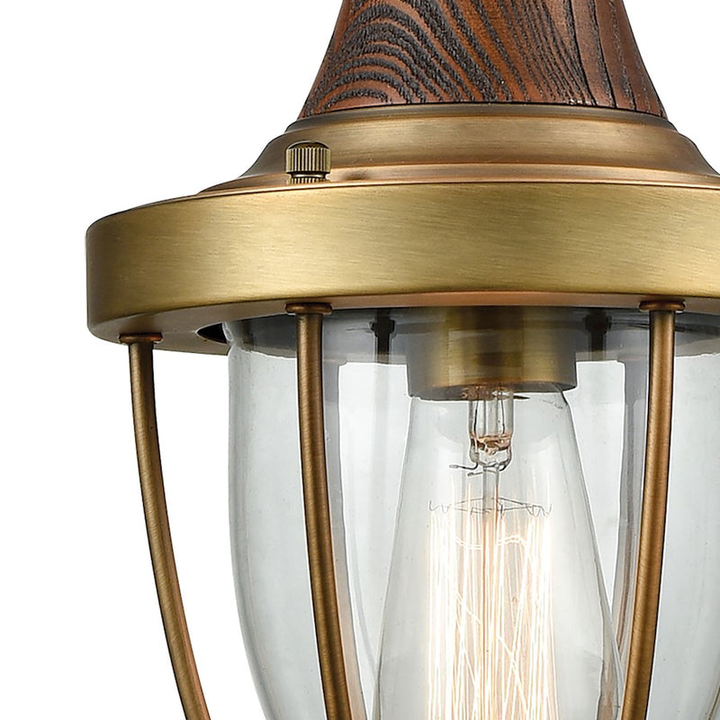 ELK Lighting Sturgis 1-Light Mini Pendant, Clear