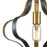 ELK Lighting Janis 1-Light Pendant, Aged Bronze and Aged Brass