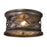 ELK Lighting Barrington Gate 2-Light Outdoor Flush, Hazelnut