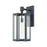 ELK Lighting Bianca 1-Light Sconce, Aged Zinc/Clear