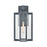 ELK Lighting Bianca 1-Light Sconce, Aged Zinc/Clear