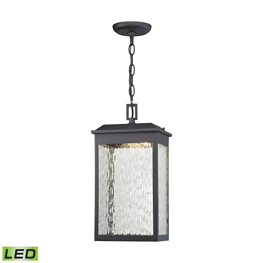 ELK Lighting Newcastle 1-Light Outdoor Pendant, Black, LED
