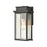 ELK Lighting Braddock 1-Light Outdoor Sconce, Bronze/Seedy