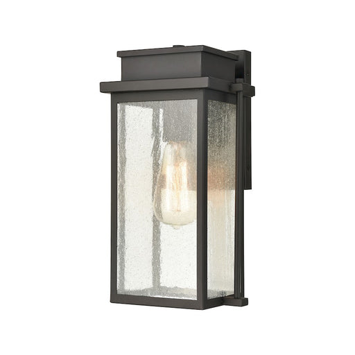 ELK Lighting Braddock 1-Light Outdoor Sconce, Bronze/Seedy