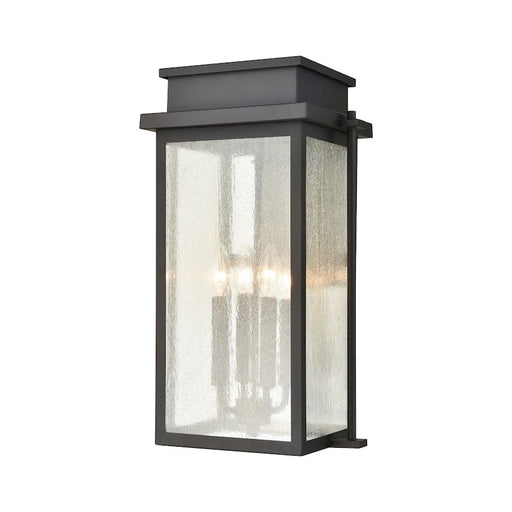 ELK Lighting Braddock Outdoor Sconce, Bronze/Seedy