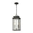 ELK Lighting Braddock 2-Light Outdoor Pendant, Bronze/Seedy
