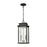 ELK Lighting Braddock 2-Light Outdoor Pendant, Bronze/Seedy