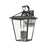 ELK Lighting Main Street 4-Light Outdoor Sconce, Black/Clear Glass