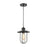 ELK Lighting Lakeshore Drive 1-Light Mini Pendant, Black/Seedy Glass