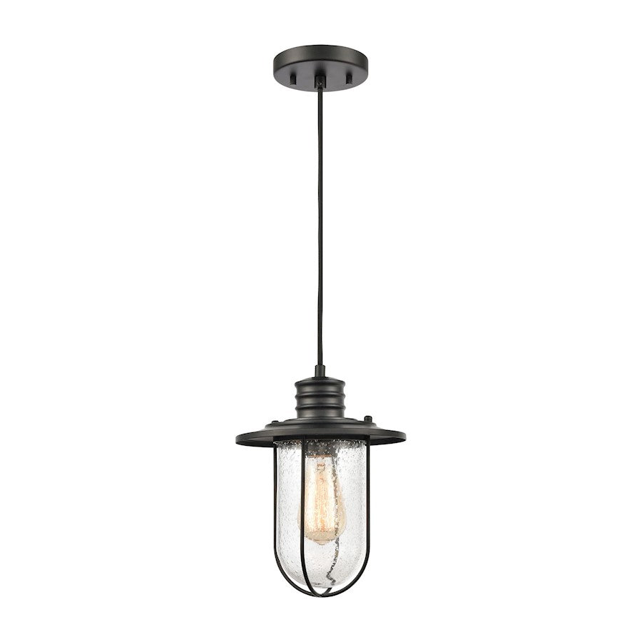ELK Lighting Lakeshore Drive 1-Light Mini Pendant, Black/Seedy Glass