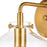 ELK Lighting Manhattan Boutique 1-Light 9" Sconce, Brushed Brass/Clear