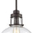 ELK Lighting Manhattan Boutique 1-Light Mini Pendant, Clear