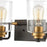 ELK Lighting Robins Vanity Light, Matte Black/Clear Glass