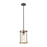 ELK Lighting Millington 1-Light Mini Pendant, Charcoal/Clear Glass