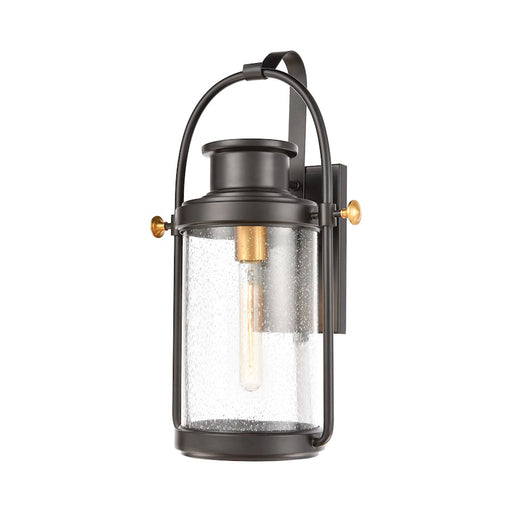 ELK Lighting Wexford 1-Light Sconce, Matte Black/Seedy Glass
