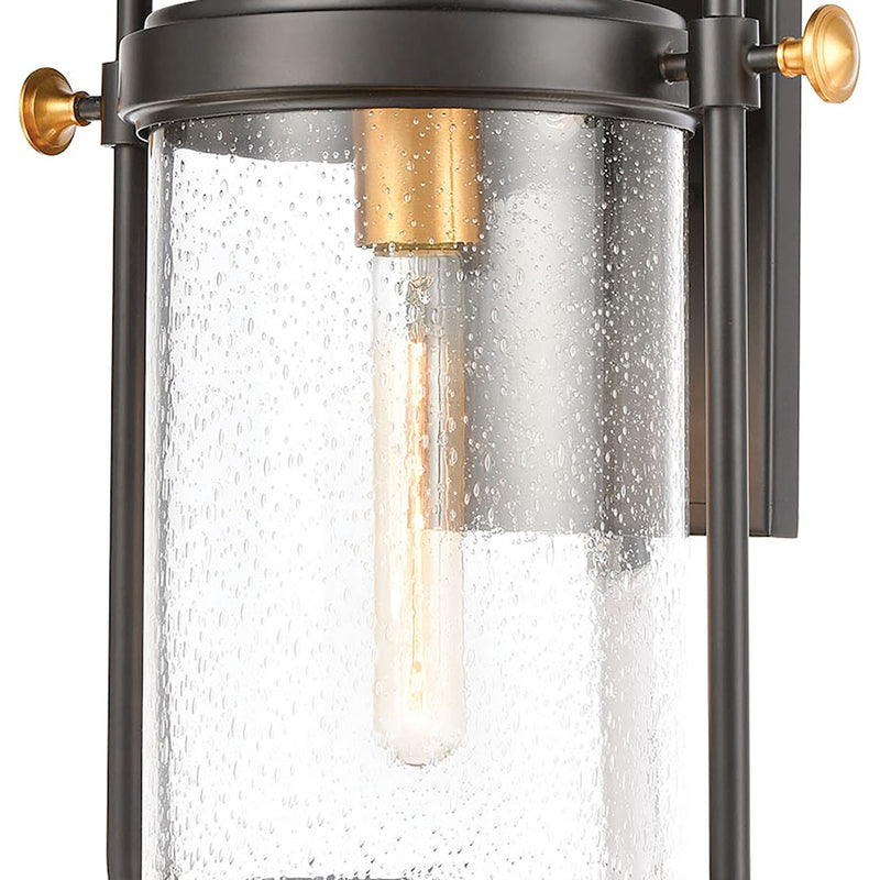 ELK Lighting Wexford 1-Light Sconce, Matte Black/Seedy Glass