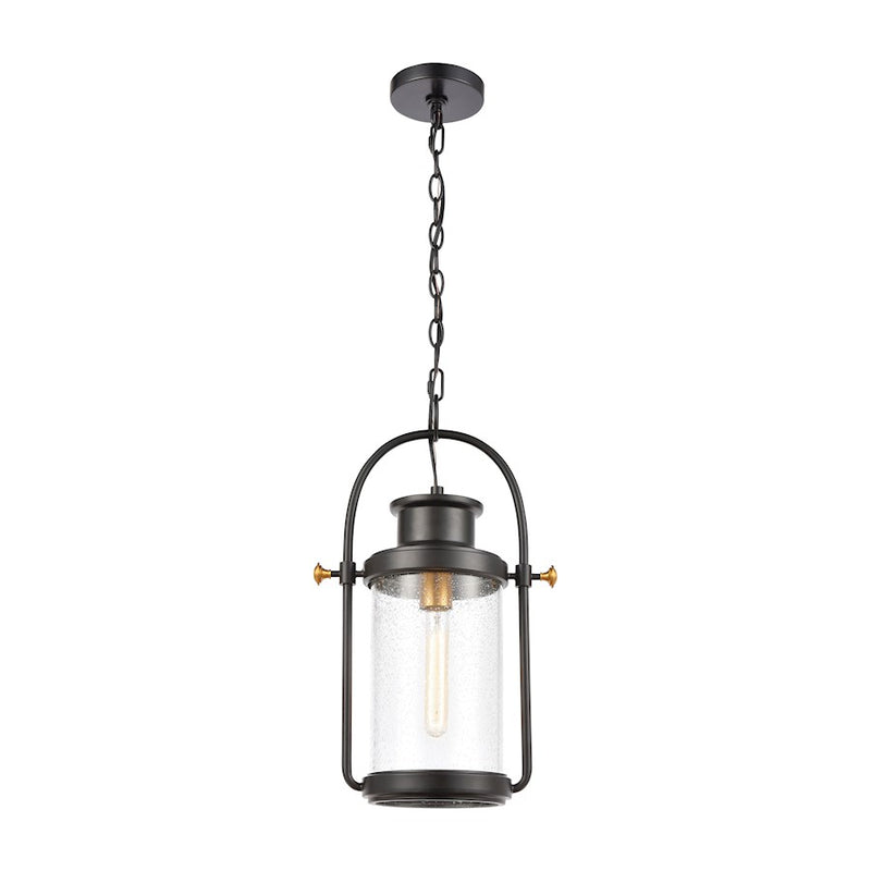 ELK Lighting Wexford 1-Light Hanging, Matte Black/Seedy Glass