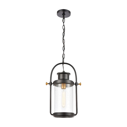 ELK Lighting Wexford 1-Light Hanging, Matte Black/Seedy Glass