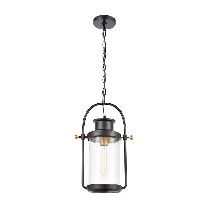 ELK Lighting Wexford 1-Light Hanging, Matte Black/Seedy Glass