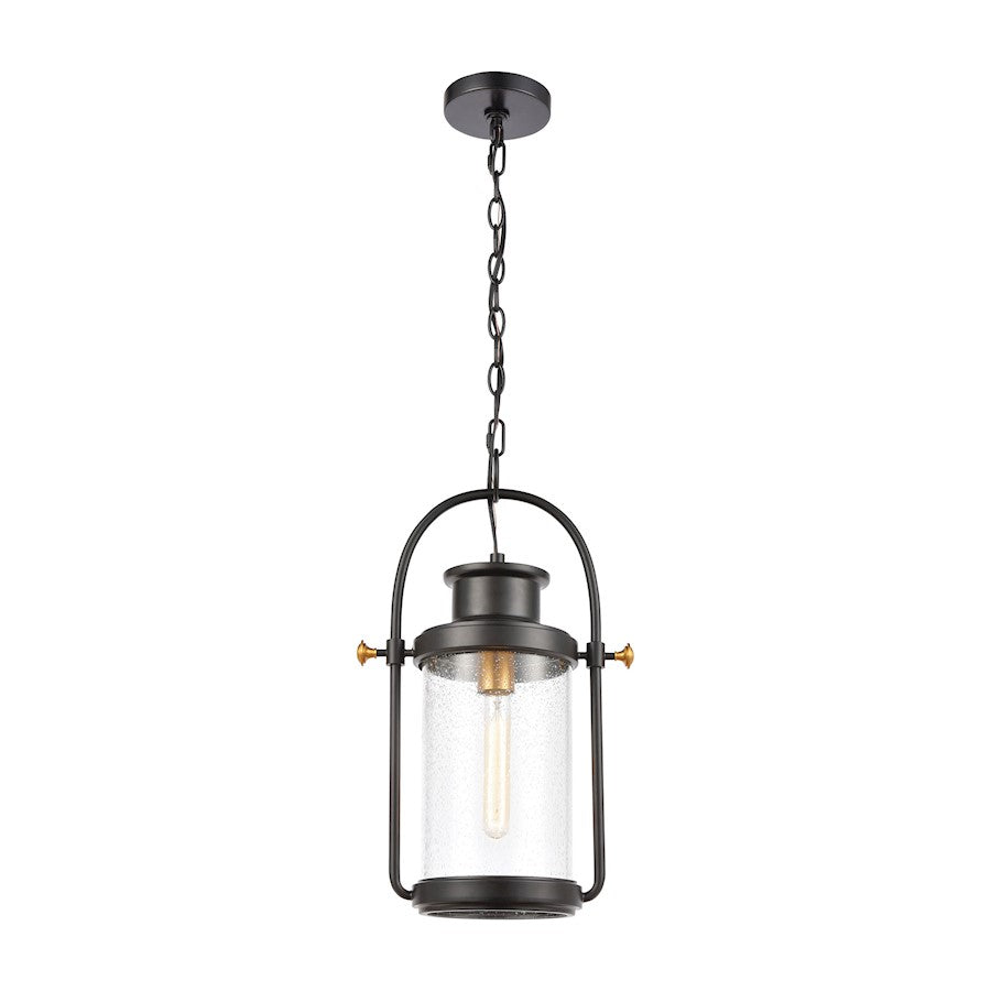 ELK Lighting Wexford 1-Light Hanging, Matte Black/Seedy Glass