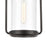 ELK Lighting Wexford 1-Light Hanging, Matte Black/Seedy Glass