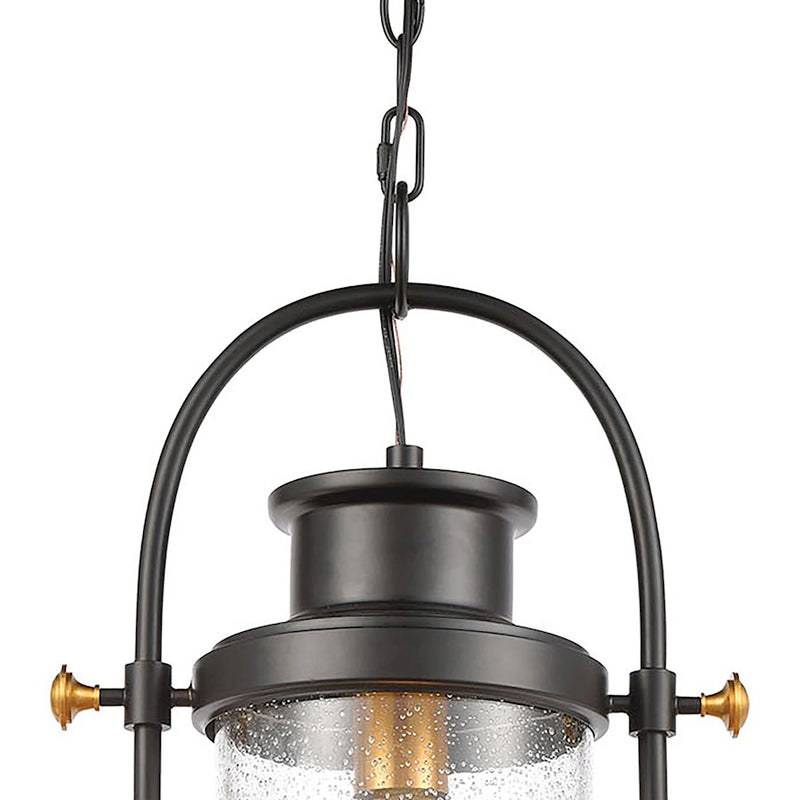 ELK Lighting Wexford 1-Light Hanging, Matte Black/Seedy Glass