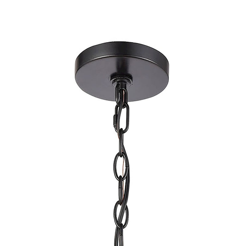 ELK Lighting Wexford 1-Light Hanging, Matte Black/Seedy Glass