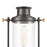 ELK Lighting Wexford 1-Light Post Mount, Matte Black/Seedy Glass