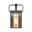 ELK Lighting Knowlton 1-Light Sconce, Matte Black/Seedy Glass
