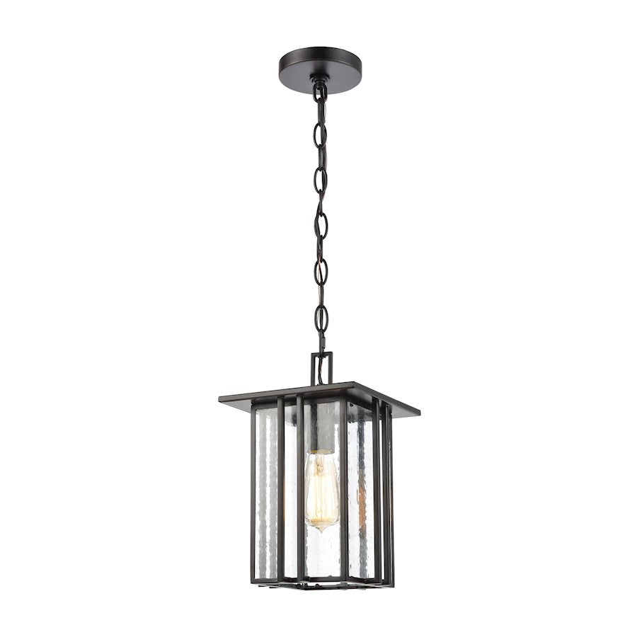 ELK Lighting Radnor 1-Light Hanging, Matte Black/Seedy Glass