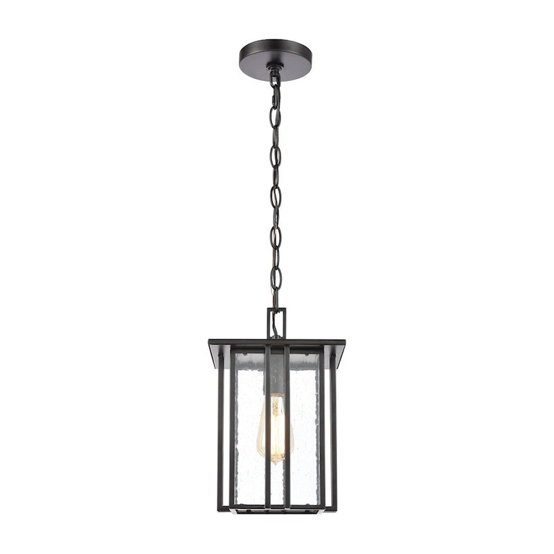 ELK Lighting Radnor 1-Light Hanging, Matte Black/Seedy Glass