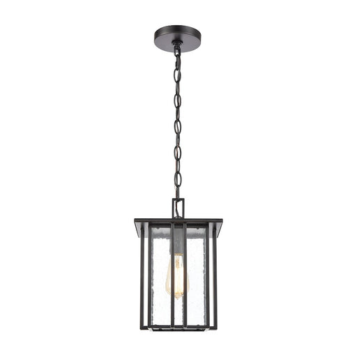 ELK Lighting Radnor 1-Light Hanging, Matte Black/Seedy Glass