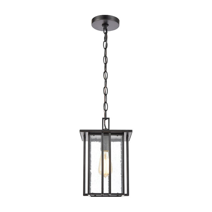 ELK Lighting Radnor 1-Light Hanging, Matte Black/Seedy Glass