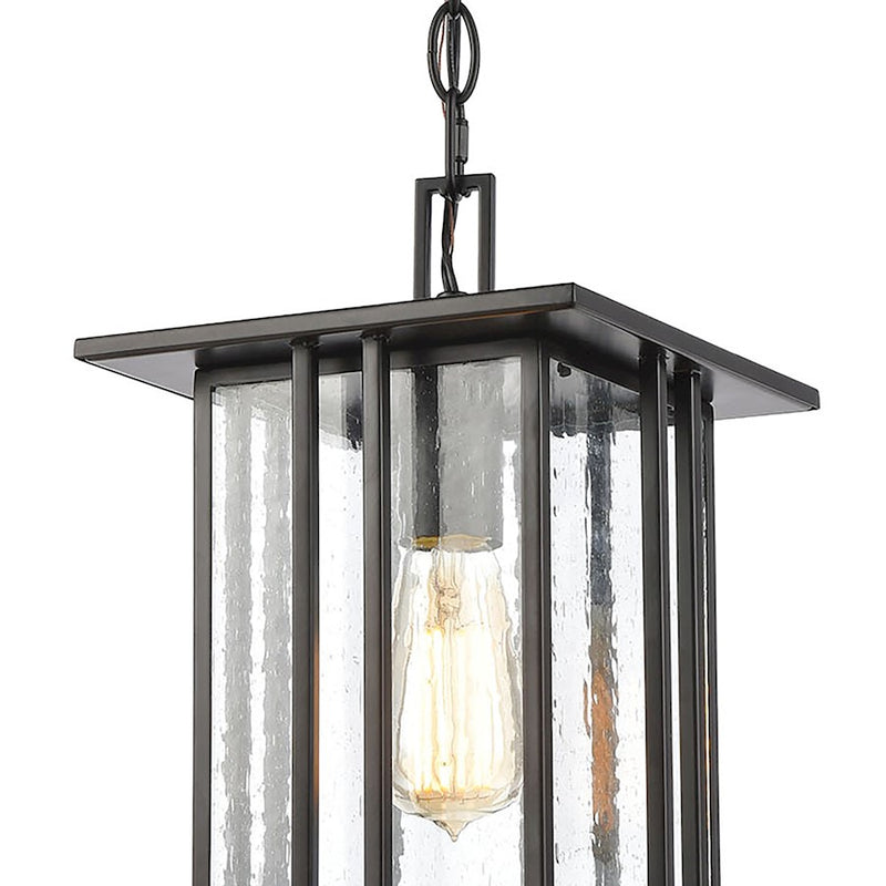 ELK Lighting Radnor 1-Light Hanging, Matte Black/Seedy Glass