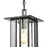 ELK Lighting Radnor 1-Light Hanging, Matte Black/Seedy Glass