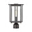 ELK Lighting Radnor 1-Light Post Mount, Matte Black/Seedy Glass