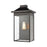 ELK Lighting Lamplighter 1-Light Sconce, Matte Black/Seedy Glass