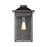 ELK Lighting Lamplighter 1-Light Sconce, Matte Black/Seedy Glass