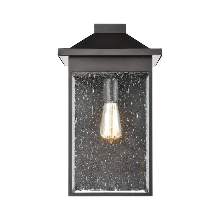 ELK Lighting Lamplighter 1-Light Sconce, Matte Black/Seedy Glass