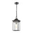 ELK Lighting Lamplighter 1-Light Hanging, Matte Black/Seedy Glass