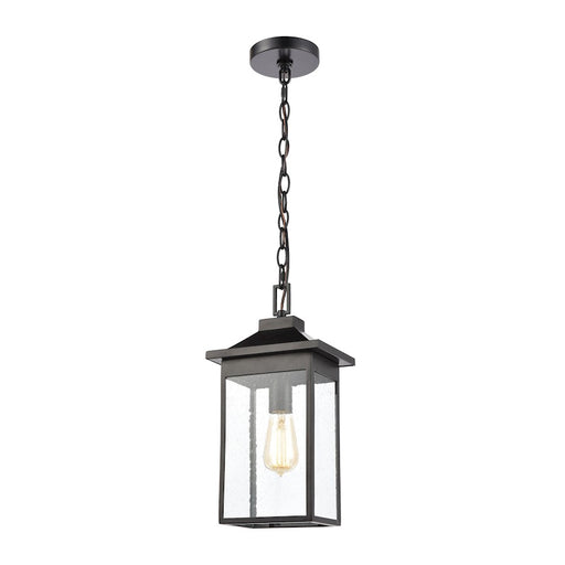 ELK Lighting Lamplighter 1-Light Hanging, Matte Black/Seedy Glass