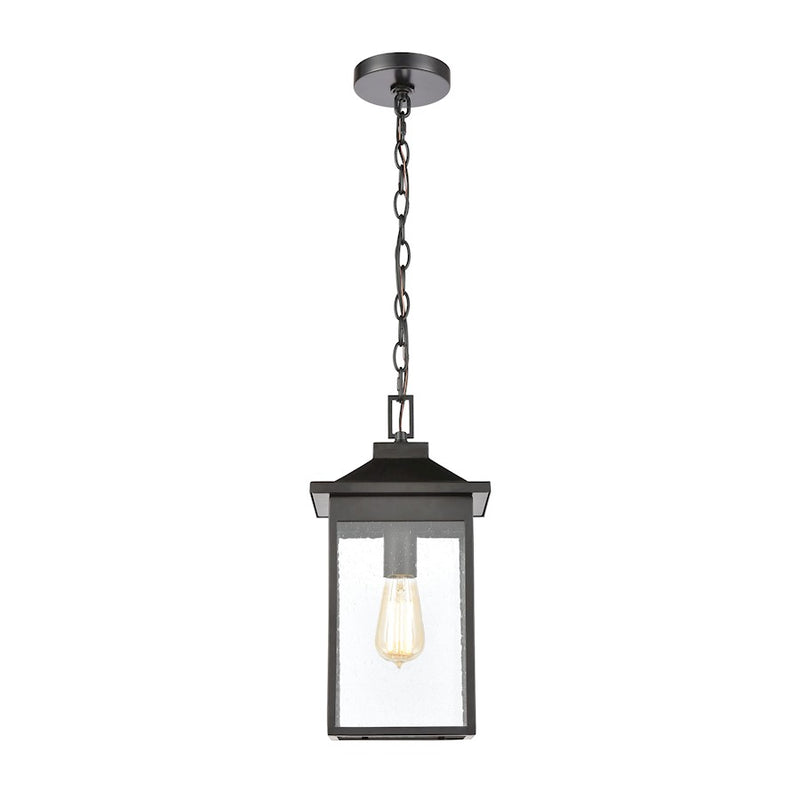 ELK Lighting Lamplighter 1-Light Hanging, Matte Black/Seedy Glass