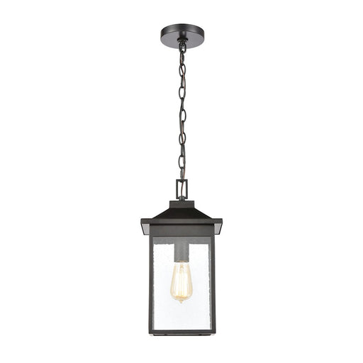 ELK Lighting Lamplighter 1-Light Hanging, Matte Black/Seedy Glass