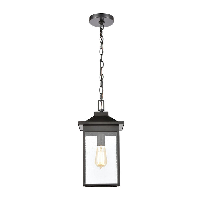 ELK Lighting Lamplighter 1-Light Hanging, Matte Black/Seedy Glass