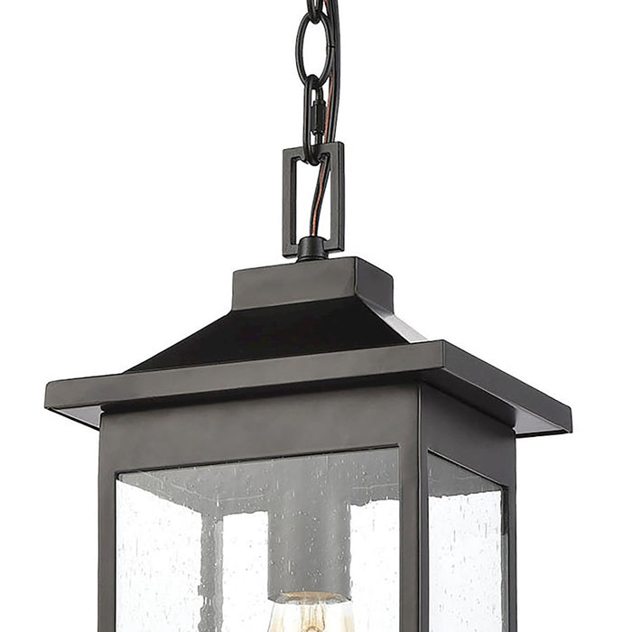 ELK Lighting Lamplighter 1-Light Hanging, Matte Black/Seedy Glass