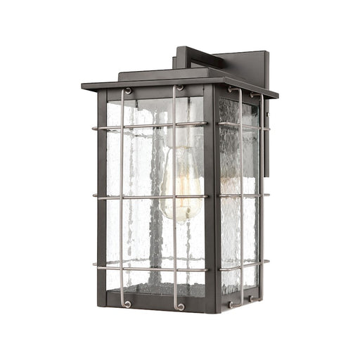 ELK Lighting Brewster 1-Light Sconce, Matte Black/Seedy Glass