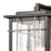 ELK Lighting Brewster 1-Light Sconce, Matte Black/Seedy Glass