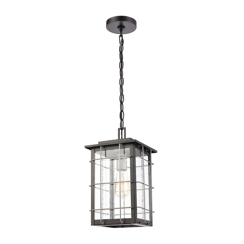 ELK Lighting Brewster 1-Light Hanging, Matte Black/Seedy Glass