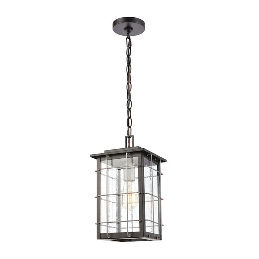 ELK Lighting Brewster 1-Light Hanging, Matte Black/Seedy Glass